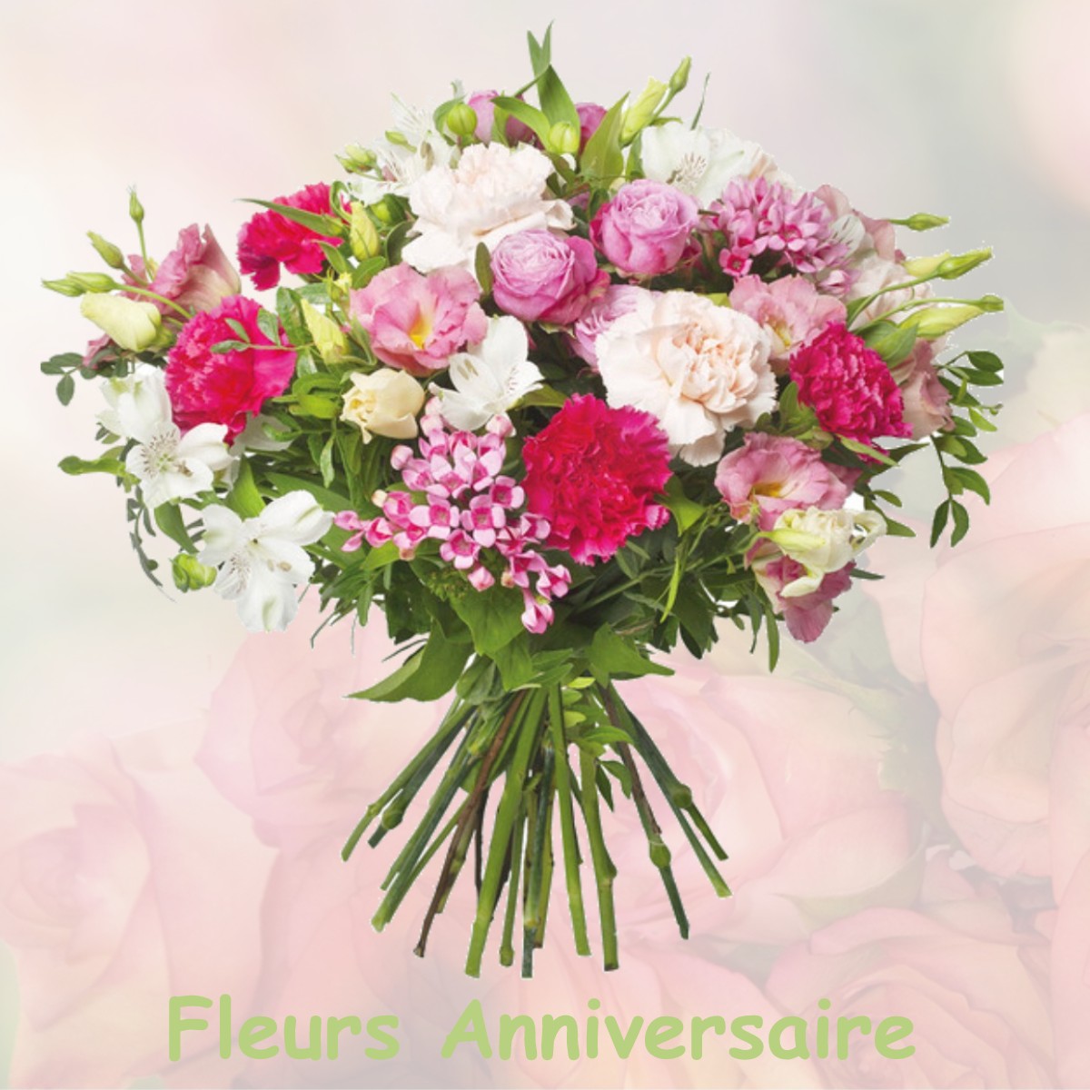 fleurs anniversaire VILLENEUVE-SAINT-GERMAIN